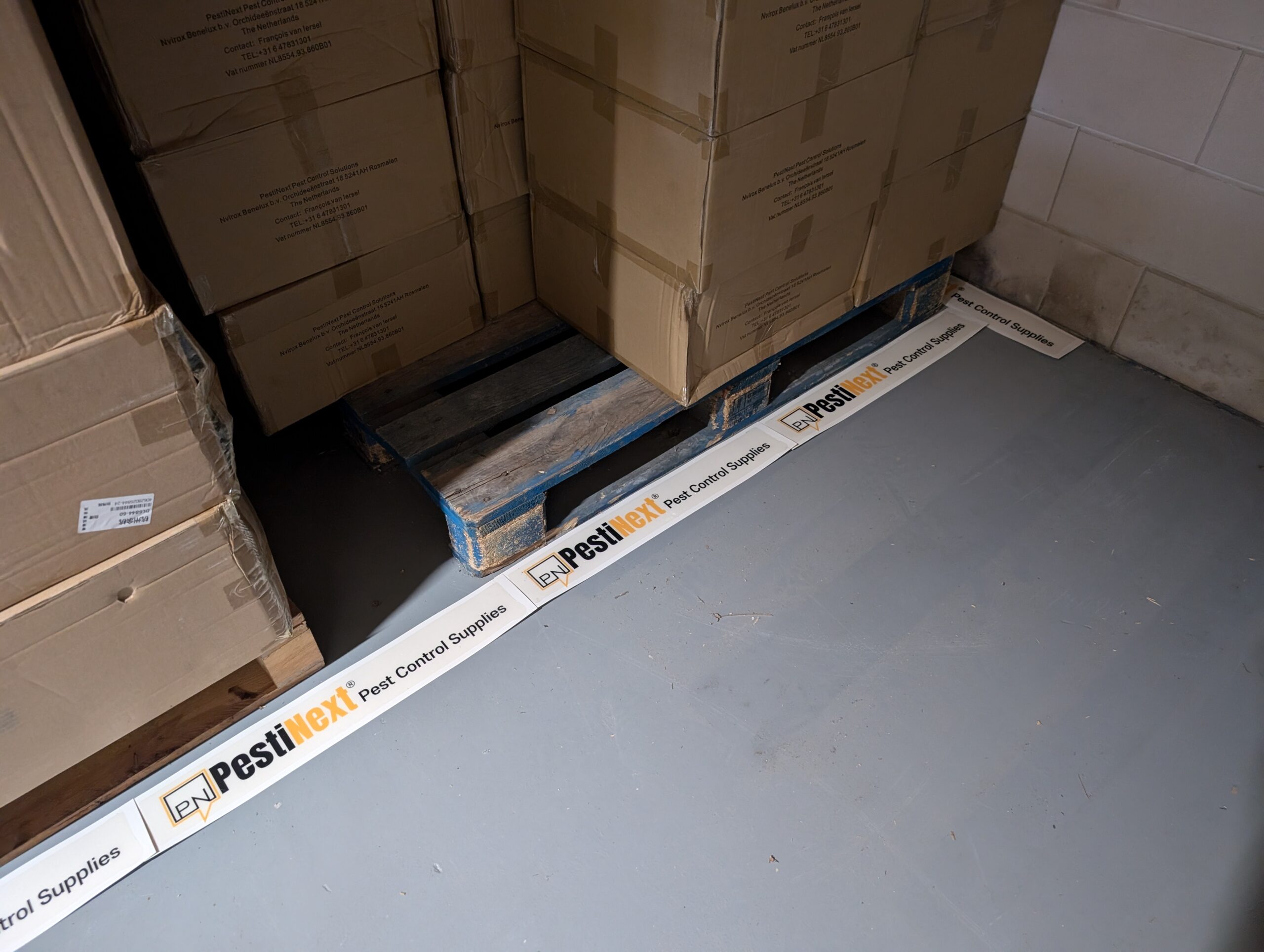 60 meter -100 x PestiNext lijmval 600 XL Pro (voor opslag, pallets etc.)