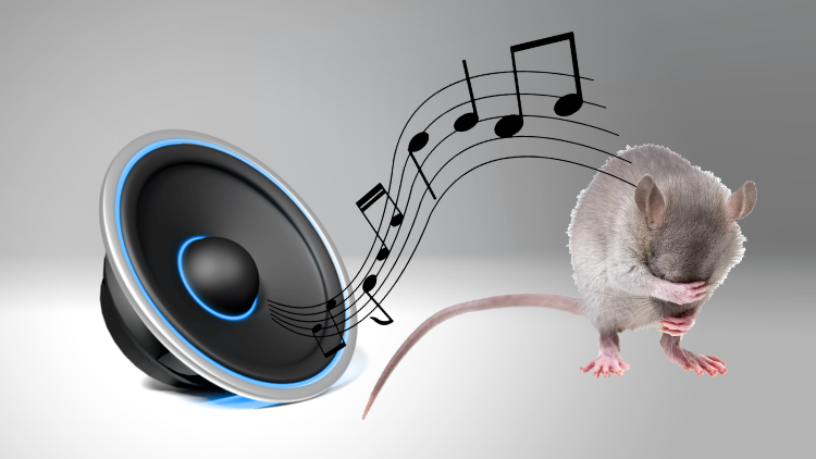 muizen verjagen met ultrasoon geluid