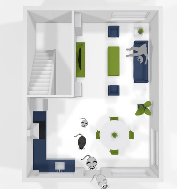 muizen verjagen in woonkamer