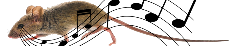 muizen verjagen met ultrasoon geluid