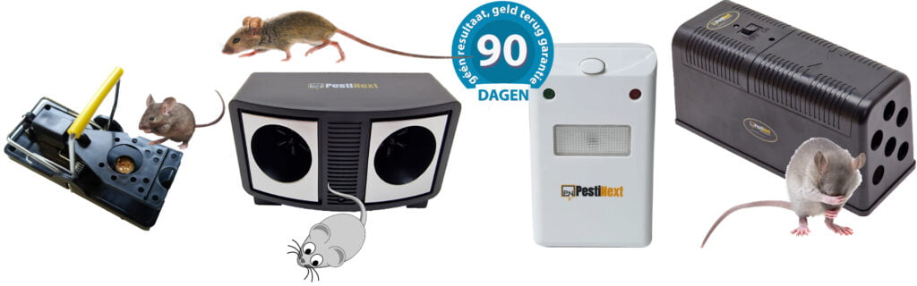 alternatieven voor muizen verjagen met azijn