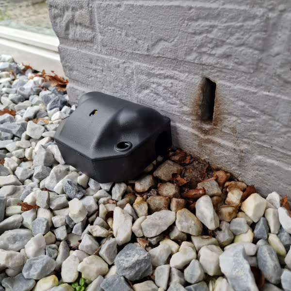 muizen weren bij spouwmuren