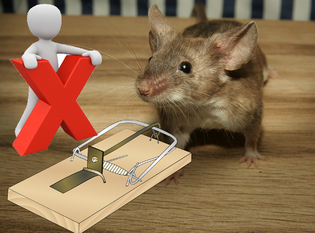 muizenval werkt niet