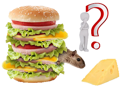 muizenval werkt niet