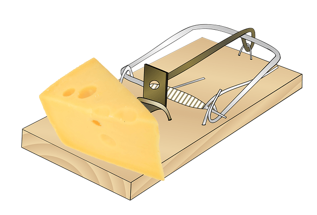 muizenval werkt niet