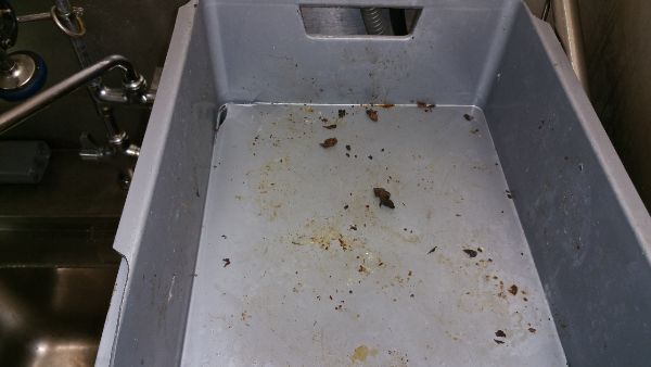 Fruitvliegjes bestrijden in keuken