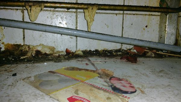 Fruitvliegjes bestrijden in keuken