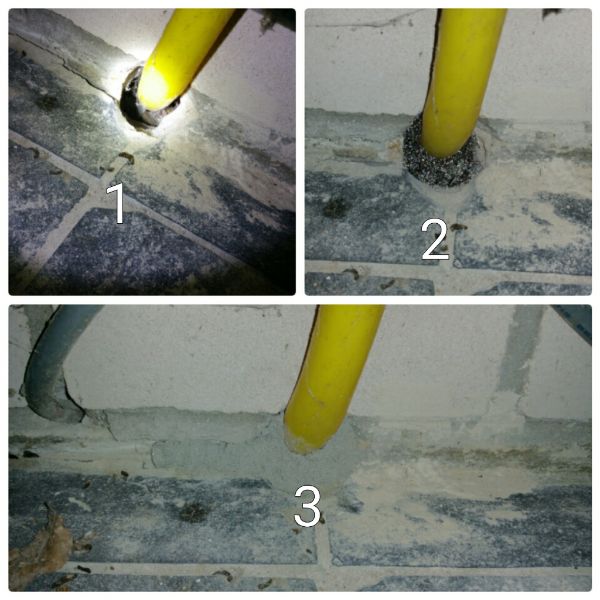 Hoe geluid werkt om muizen te verjagen