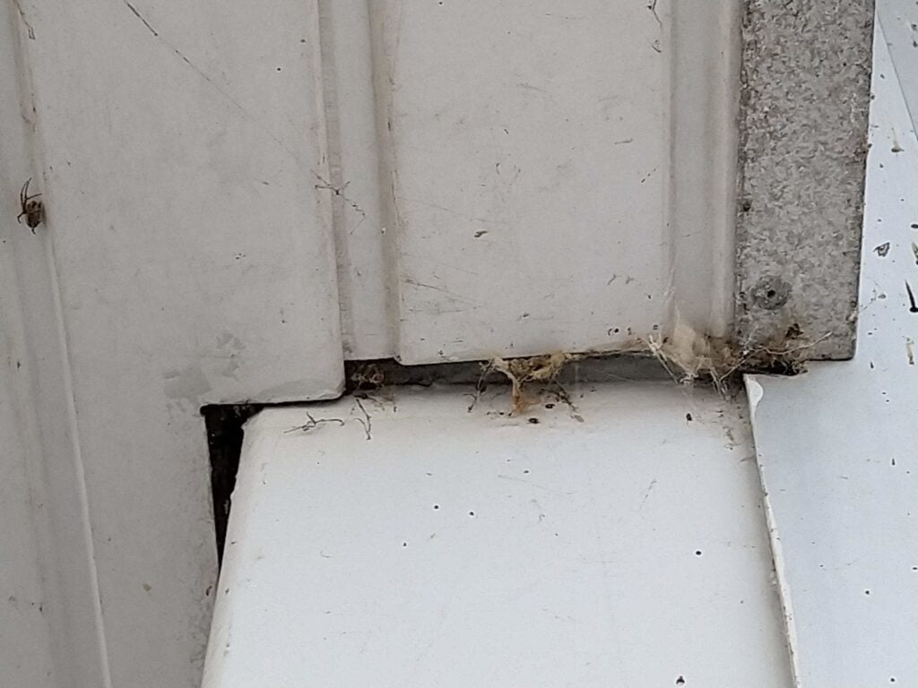 Spinnen Weg Concentraat