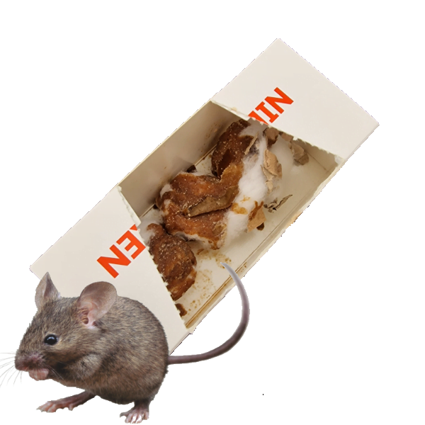 Muizen verjagen met geur: Expert advies van een ongediertebestrijder