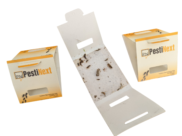 Insecten Lijmval – Insectenval – 30 stuks – PestiNext