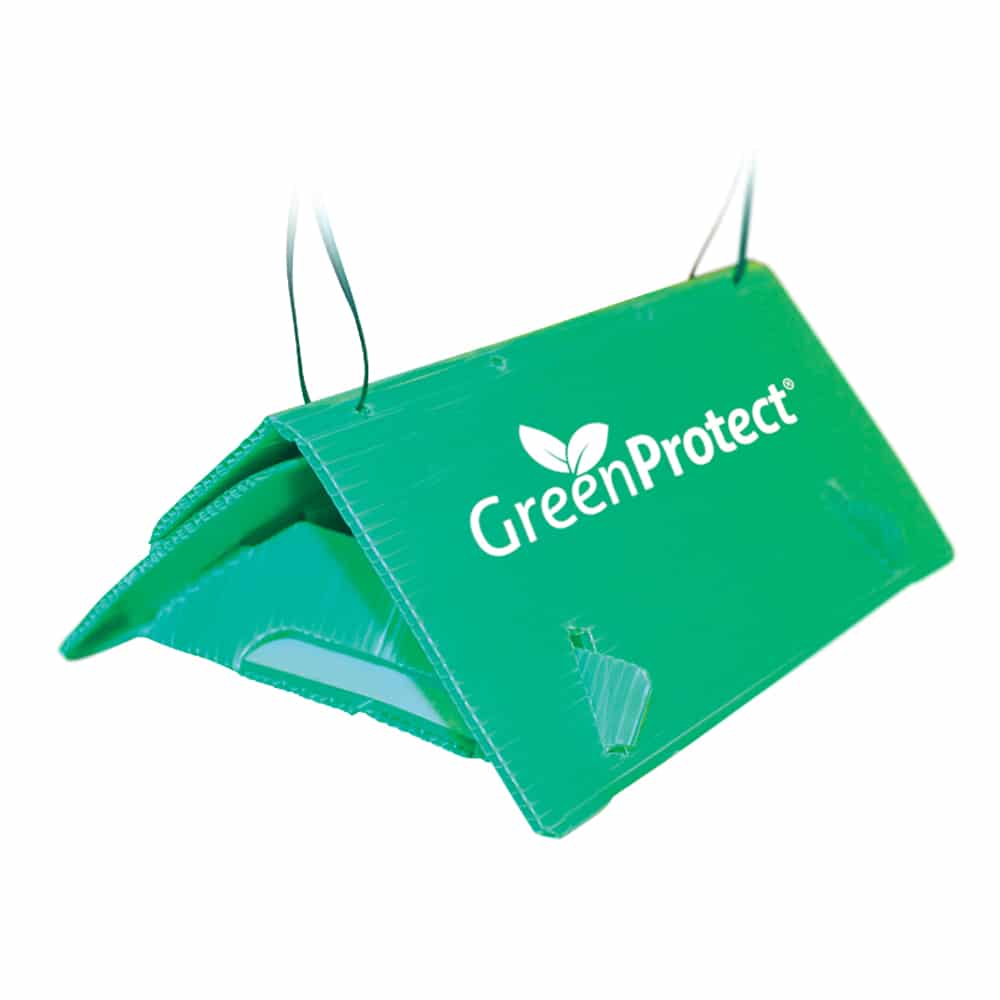 Green Protect Pruimenmotval - Afbeelding 4