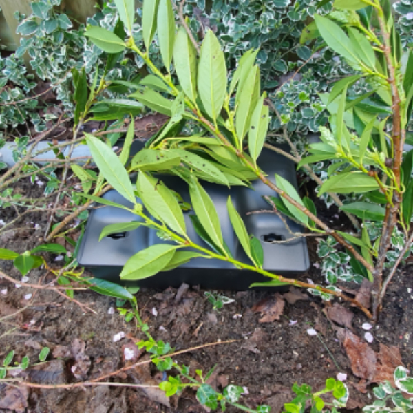 handleiding rattenkist