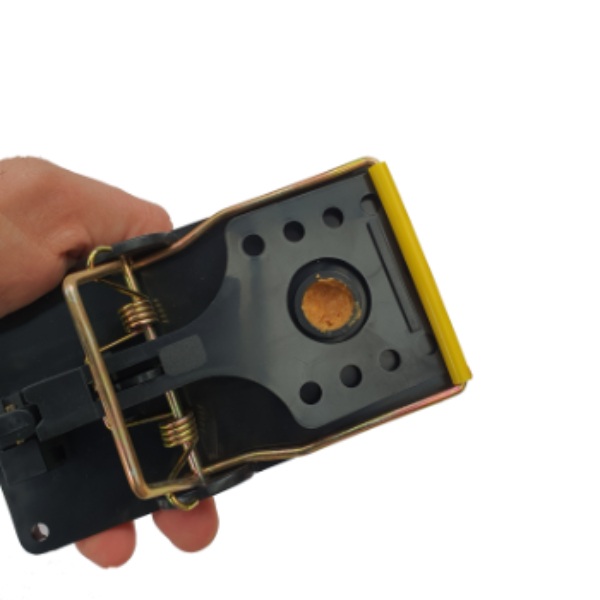 handleiding rattenkist