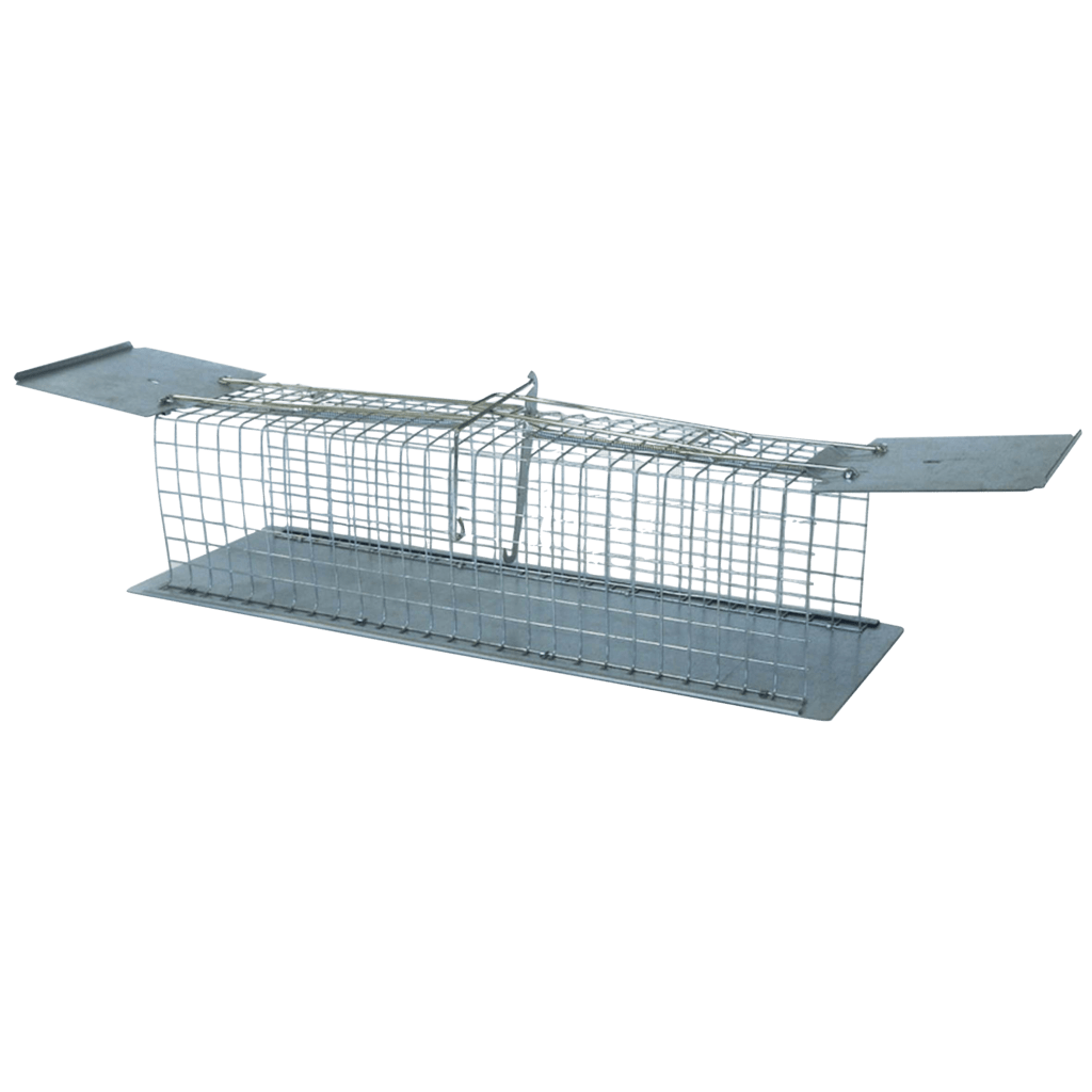 beste rattenval vangkooi