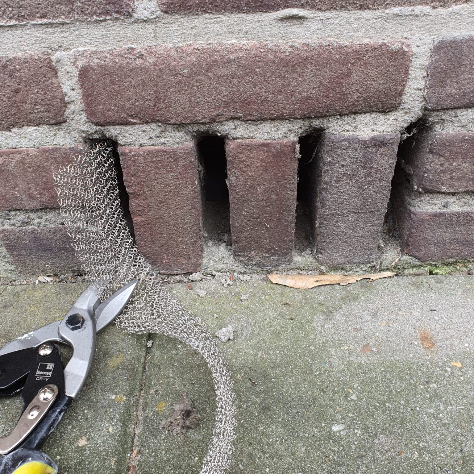 Ratten en muizen opsporen met sensoren