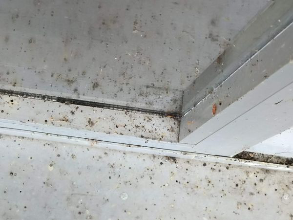 handleiding spinnen weg concentraat