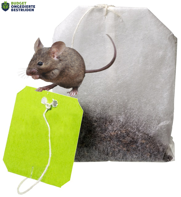 muizen verjagen met theezakjes