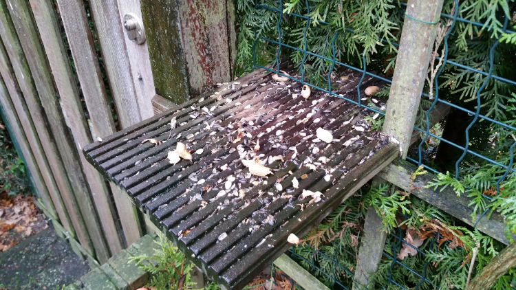 Ongedierte in de tuin voorkomen