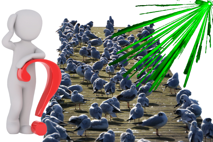 Lasertechniek tegen vogels