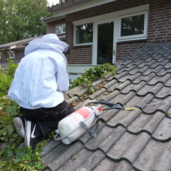 Wespen Bestrijden Rosmalen bel direct 06-19937873