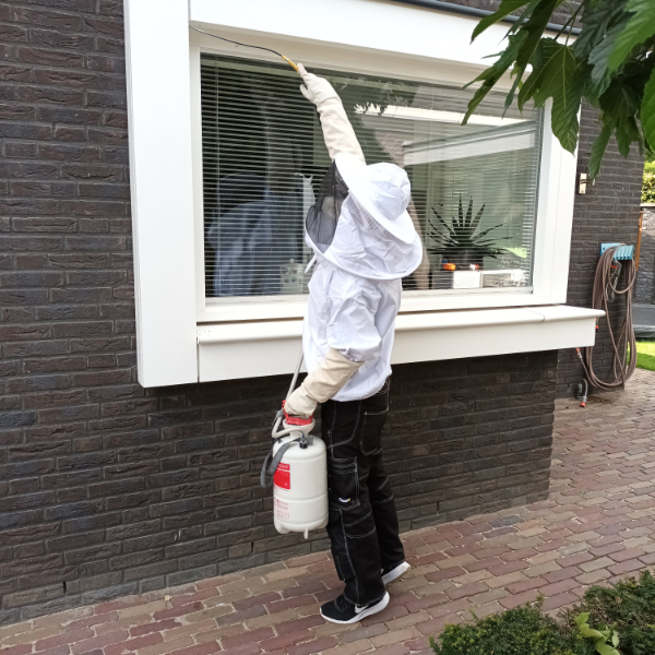 Wespen Bestrijden Rosmalen bel direct 06-19937873