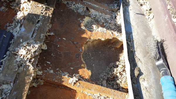 wespen bestrijden Rosmalen 