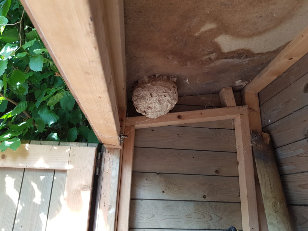 wespen bestrijden Rosmalen