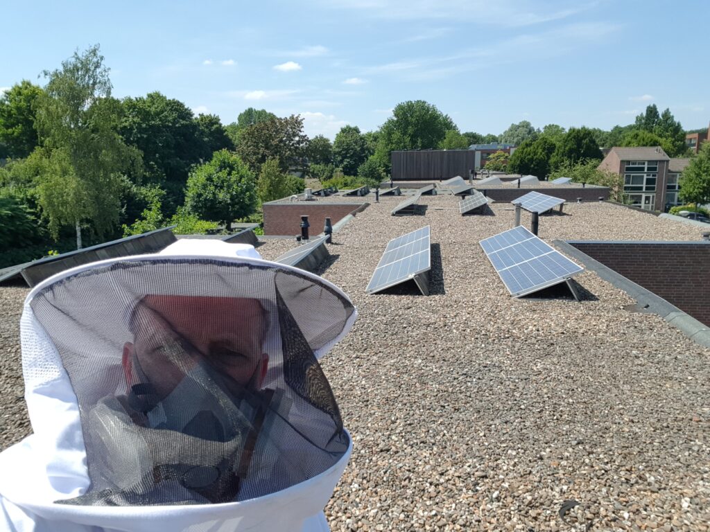 wespen bestrijden Rosmalen