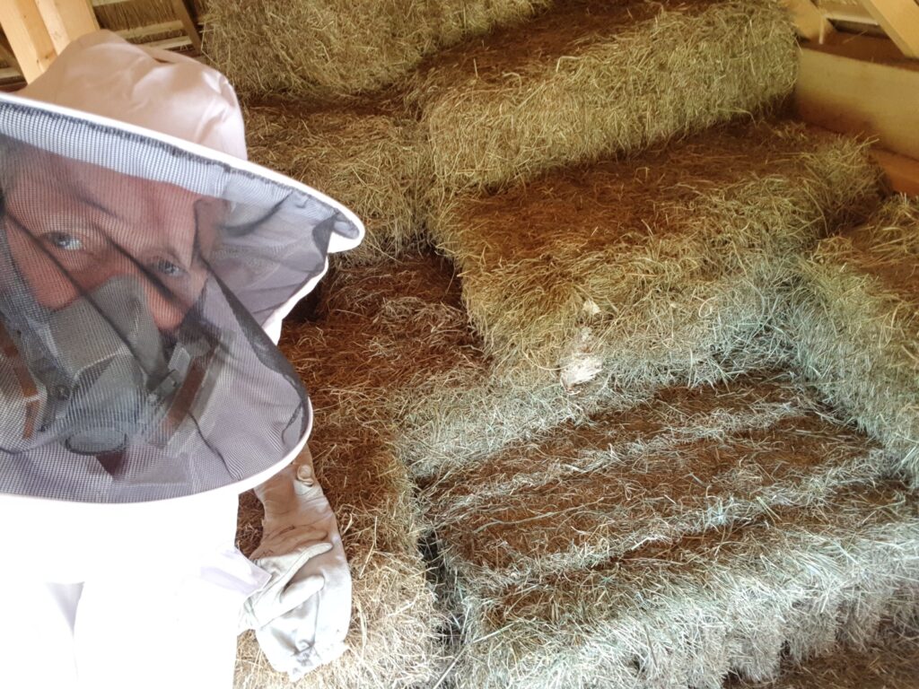 wespen bestrijden Rosmalen