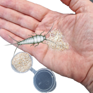 insecten lijmvallen lokmiddel